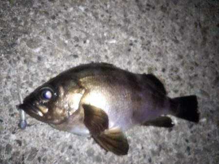 初夏なのに寒い・・・